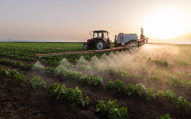 Best Best Pest Control Companies  in Lincoln, MT