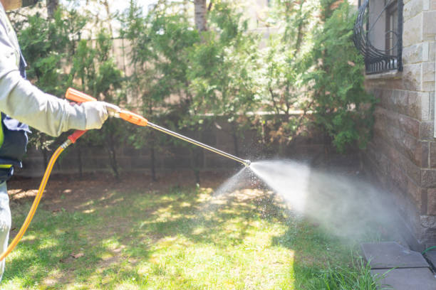 Best Pest Control for Restaurants  in Lincoln, MT