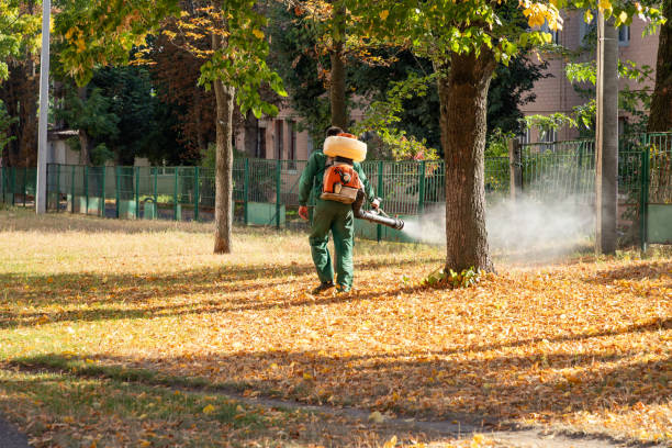Pest Prevention Services in Lincoln, MT