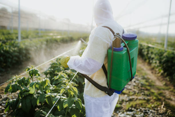 Best Local Pest Control Services  in Lincoln, MT